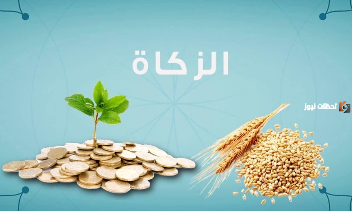 زكاة الفطر للفرد الواحد في العراق