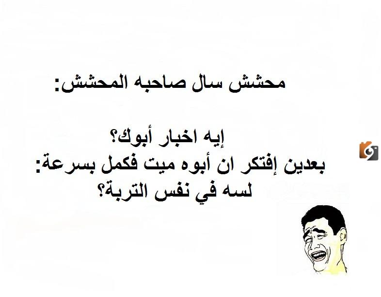 نكت مضحكة محششين مصرية