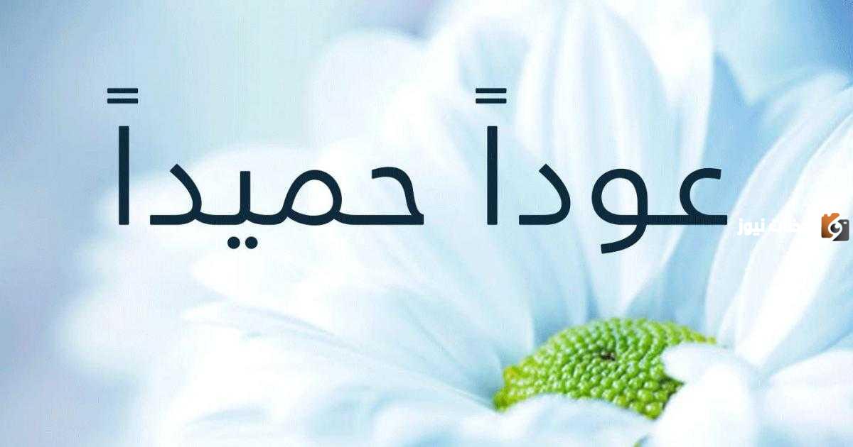 وش الرد على عودا حميدا
