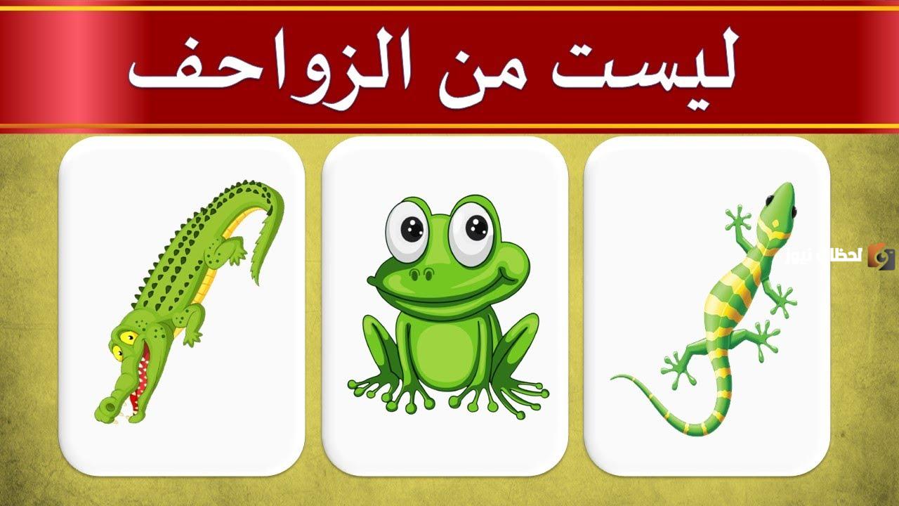الغاز صعبة جدا