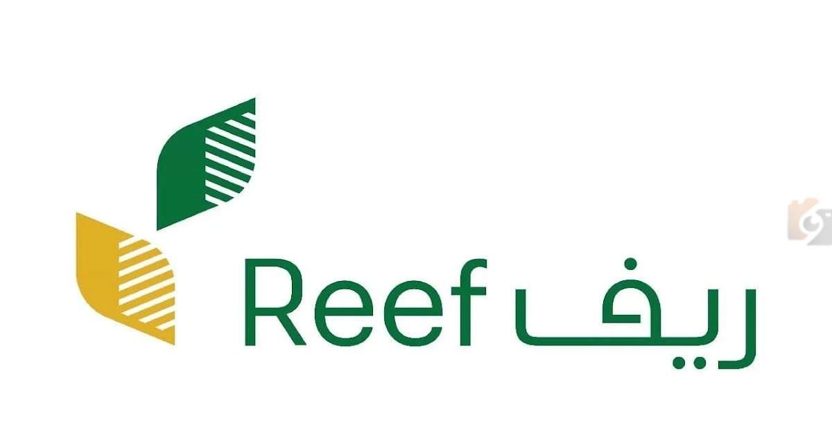لاحق الفرصة واصرف الآن… تعرف على طريقة التسجيل على دعم منصة ريف السعودية
