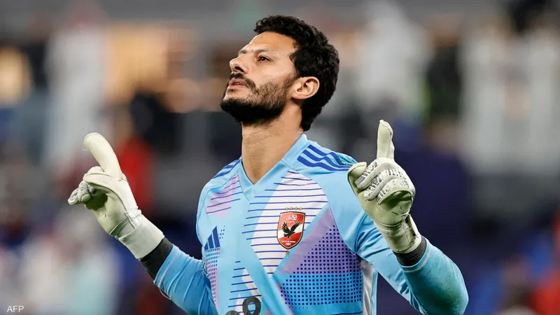 الشناوي
