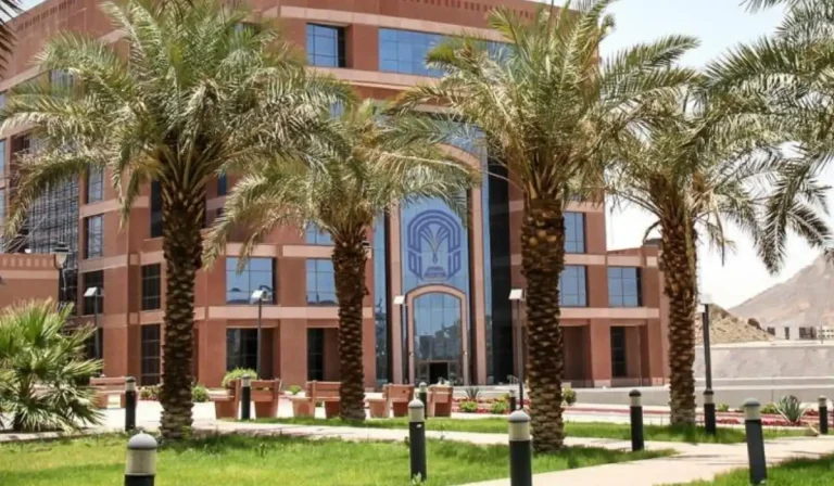 بحاجة إلى عدد من الأكاديميين | جامعة طيبة تعلن عن إمكانية التدريس بها “بالساعات”