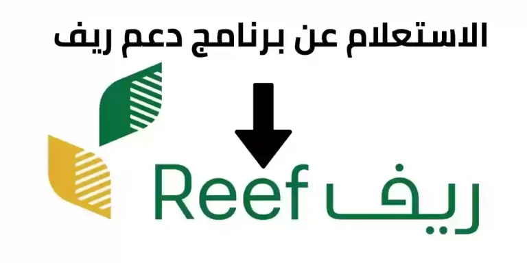بخطوات سهلة .. طريقة الاستعلام عن دعم ريف وشروط استحقاق الدعم
