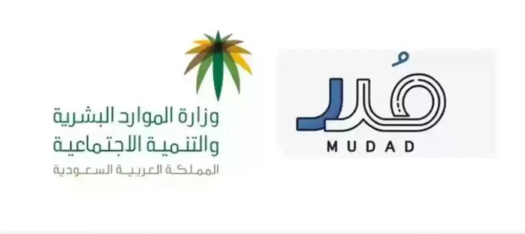 الاختلاف بين الأنظمة المتاحة في منصة مدد, منصة مدد