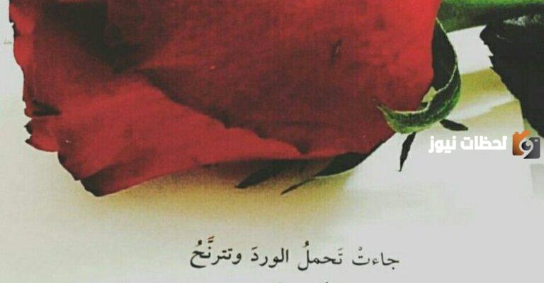 عبارات عن الورد جميلة ومميزة .. كلمات معبرة ومؤثرة عن الورود وحسنها