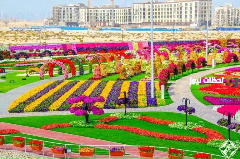 ما هو أفضل مكان للعوائل في المدينة المنورة