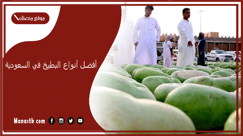 أفضل أنواع البطيخ في السعودية 2025 حبحب.. أجود أنواع البطيخ الأحمر