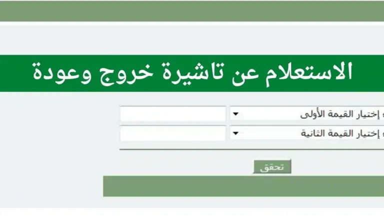 الاستعلام عن صلاحية تأشيرة خروج وعودة مقيم 2025 عبر منصة تأشيرة المملكة الجديدة برابط مباشر
