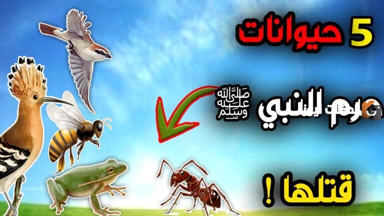 من الحيوانات التي نهى الشرع عن قتلها النحل العقرب الاسد