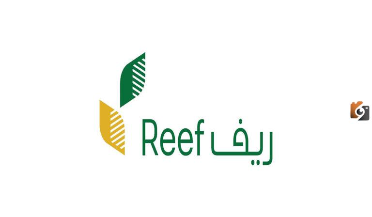 رابط الاستعلام عن دعم ريف وشروط استحقاق الدعم 2025