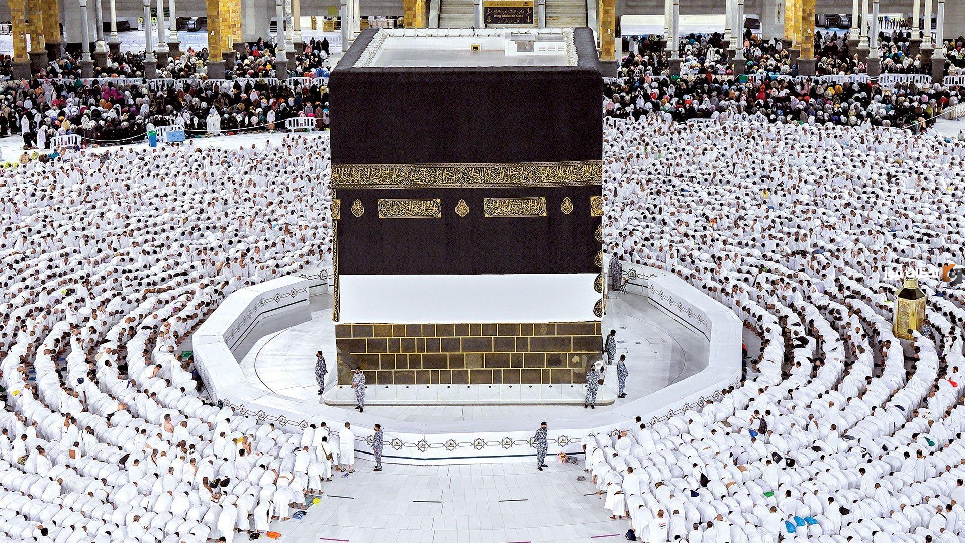 رابط الاستعلام عن نتيجة حج القرعة بالرقم القومي trans.hajj.gov.eg من بوابة الحج المصرية