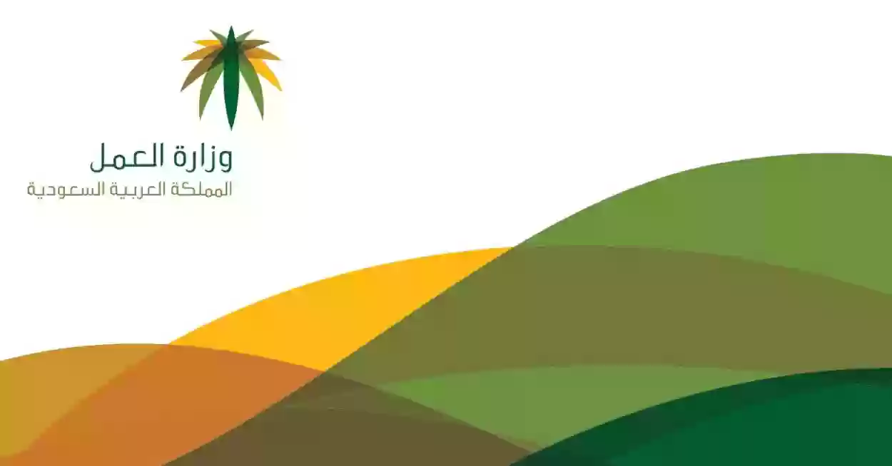 رابط خدمة الاستعلام عن موظف وافد جديد في السعودية برقم الاقامة أو الحدود أو الجواز