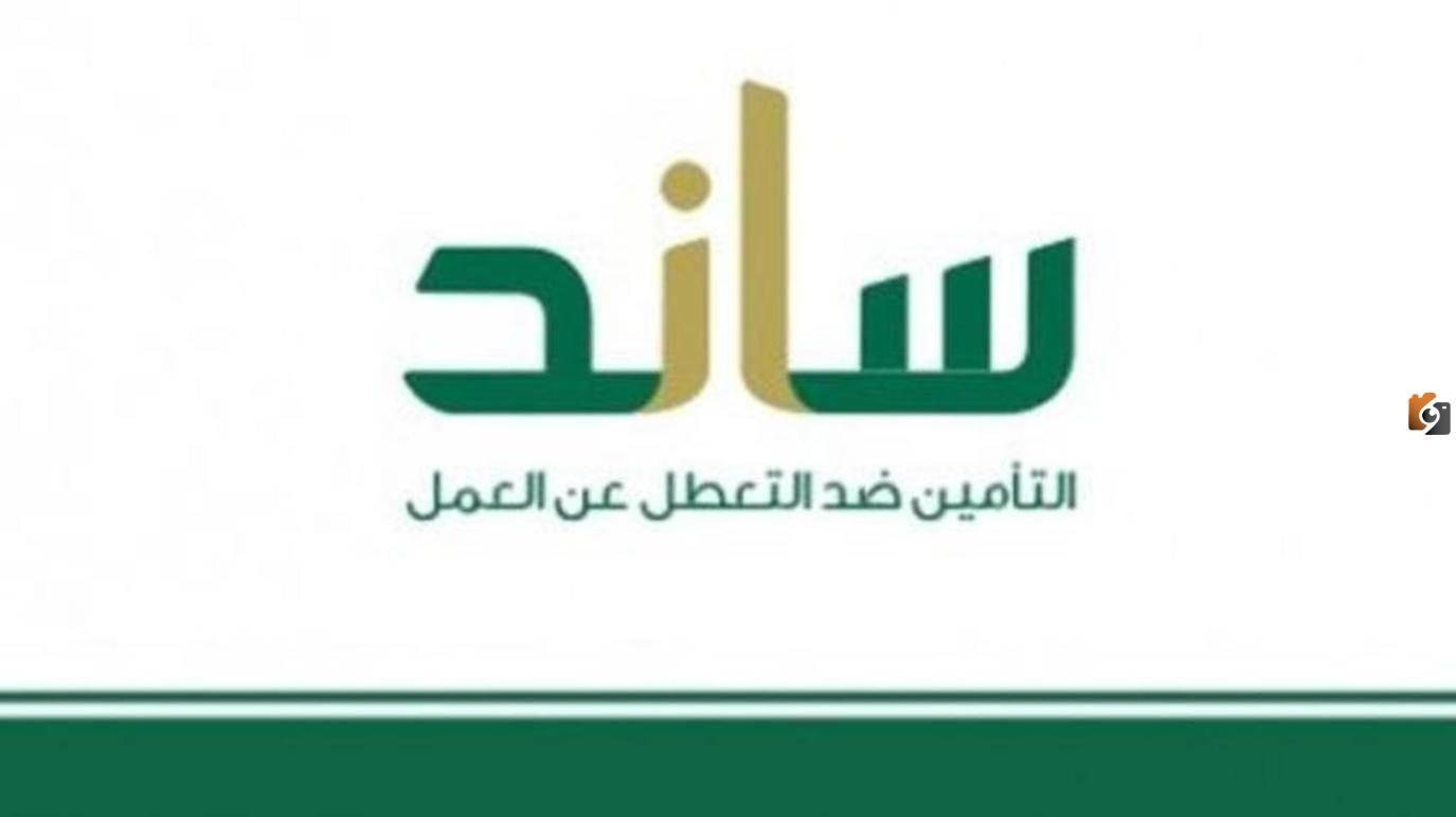 ساند تسجيل للمفصولين عن العمل 2025 ما هي شروطه وكيف يتم ومتى يستحق تارك العمل دعم ساند؟