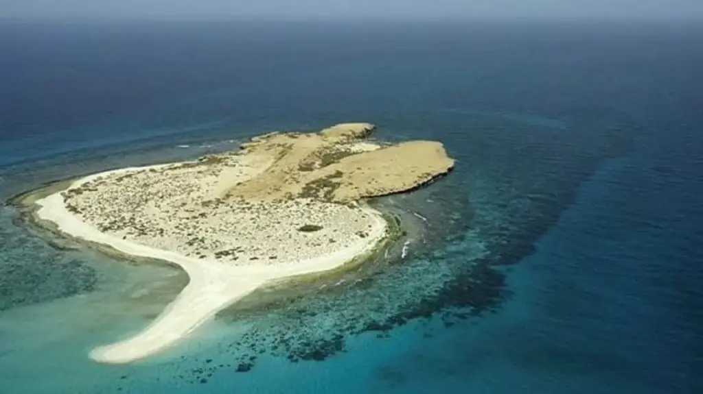كم عدد الجزر في المملكة