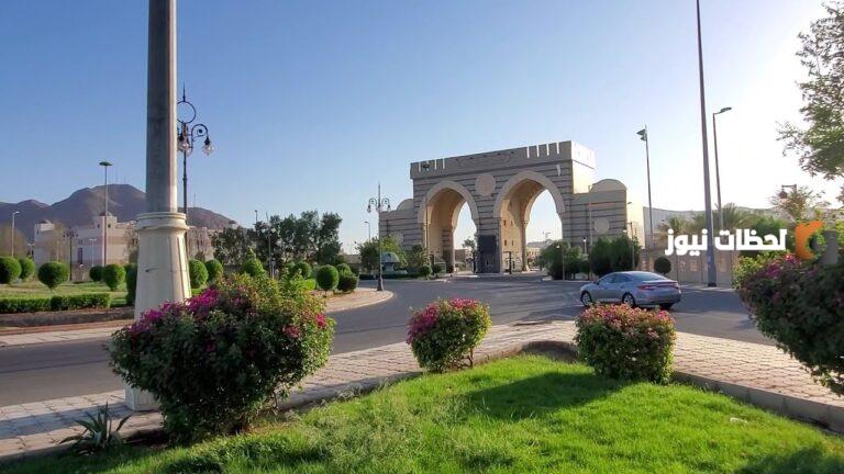 كم نسب القبول في الجامعات الإسلامية بالمدينة المنورة