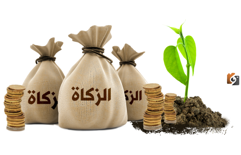 كيف أخرج زكاة المال وكم نصاب المال الواجب فيه الزكاة | وهل زكاة المال مستحبة؟