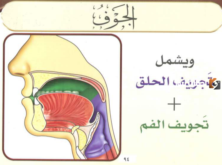 ما هي حروف الجوف في علم التجويد؟