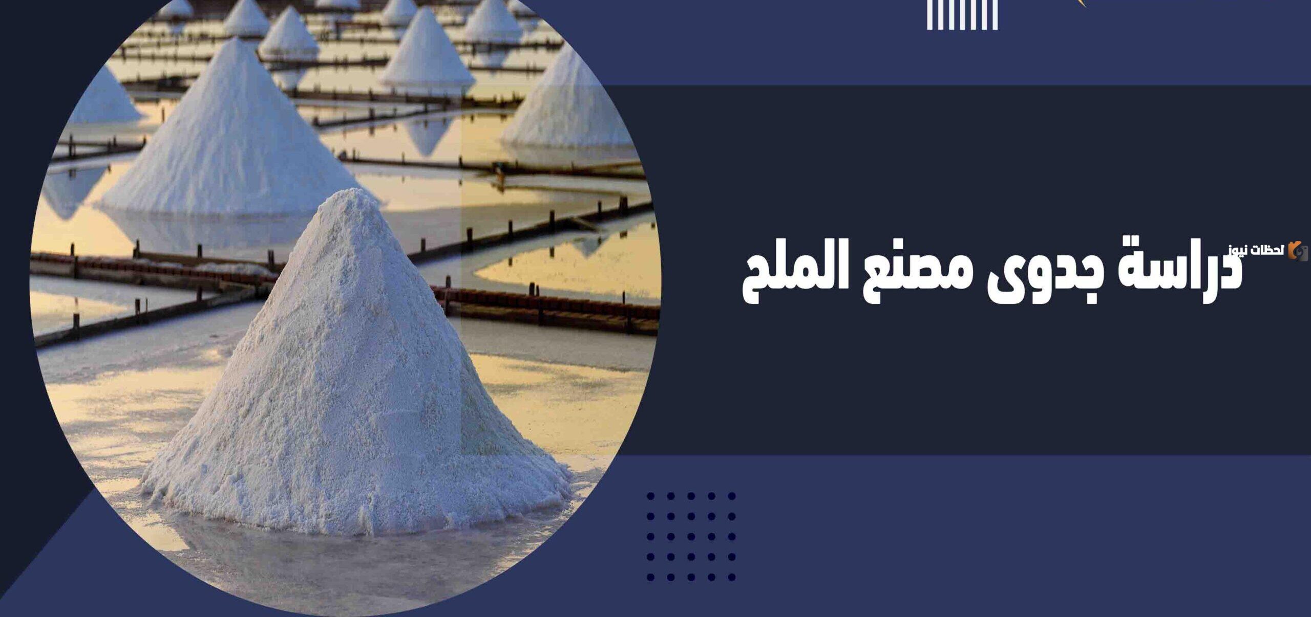 دراسة جدوى مشروع إنتاج ملح الطعام وطرق التسويق