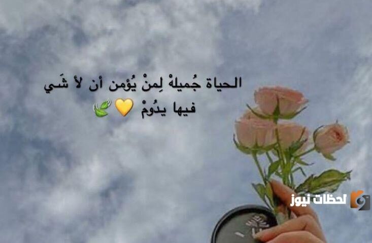 خواطر خليجية تويتر قصيرة وهادئة وفخمة جدا