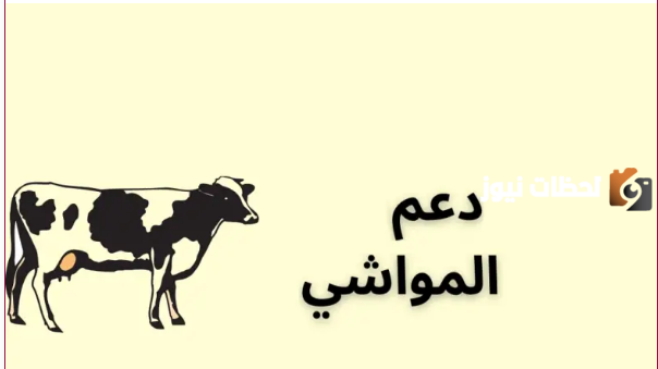 كيفية الاستعلام حول دعم المواشي بواسطة النفاذ الوطني 1447 وشروط التقديم على الدعم