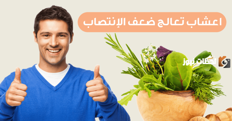 علاج انكماش الذكر بالاعشاب وأسباب انكماش الذكر عند الارتخاء