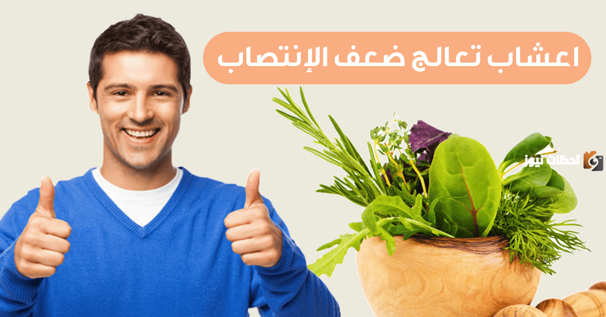 علاج انكماش الذكر بالاعشاب وأسباب انكماش الذكر عند الارتخاء