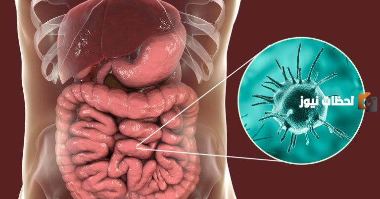 علاج الاميبا بالاعشاب للأطفال والكبار