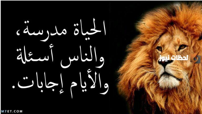 أمثال عن القوة | عبارات جميلة عن القوة