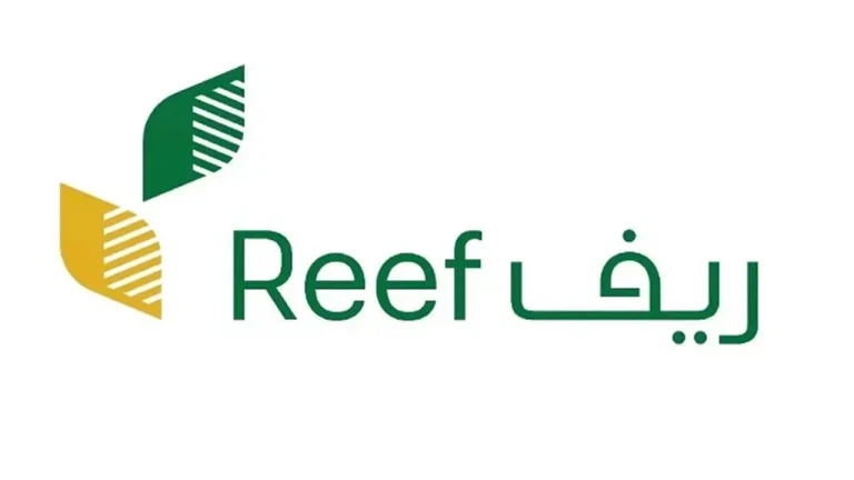 رابط وخطوات الاستعلام عن دعم ريف شهر فبراير 2025 وشروط التقديم