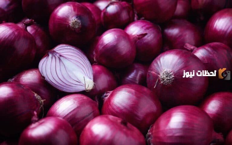 هل يصل الأمر إلى الاستغناء عن البصل تمامًا؟؟! اتجاهات غريبة من المطاعم بعد ارتفاع الأسعار