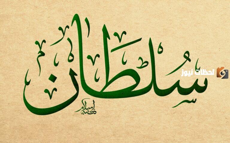 السلطان هو الحجة والبرهان | صواب أم خطأ