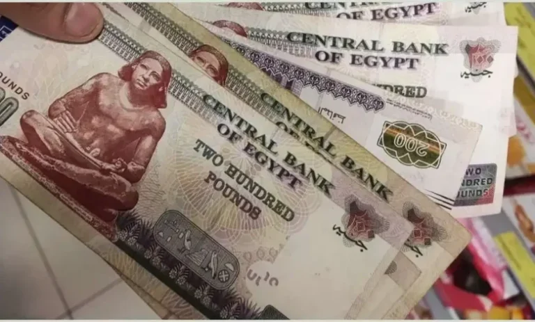 تبكير مرتبات شهر فبراير: السبب وتصريحات واضحة من وزارة المالية