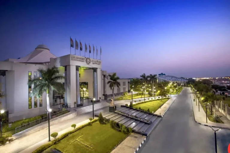 رفع مصاريف الجامعات الحكومية في مصر 2025.. هل انتهى عصر التعليم المجاني؟