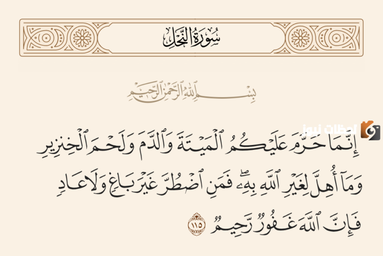 حرم الشرع الإسلامي أكل الميتة، واستثنى منها … أكمل