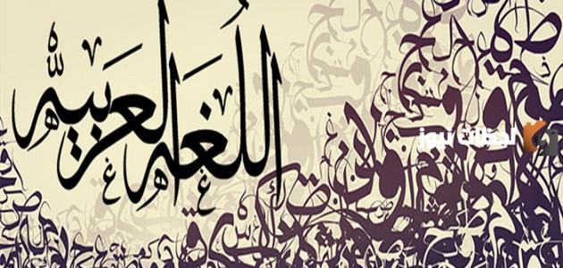 حروف الجر في اللغة العربية الأصلية والزائدة