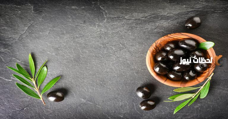 دراسة جدوى مشروع إنتاج الزيتون الأسود المخلل وطرق التسويق الناجحة
