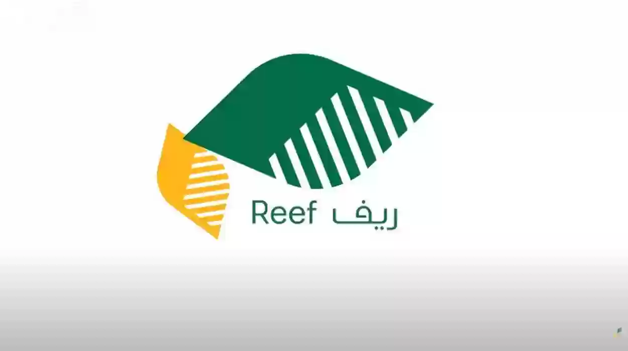 رابط الاستعلام عن دعم ريف في السعودية للعاطلين عن العمل 1447 والشروط المطلوبة للدعم