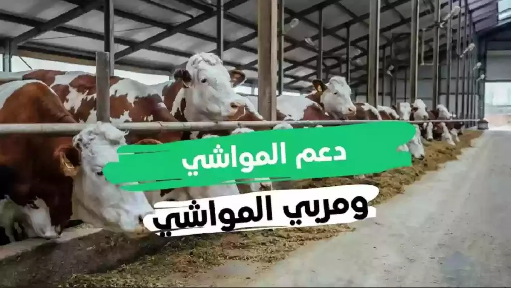 رابط التسجيل في دعم الثروة الحيوانية
