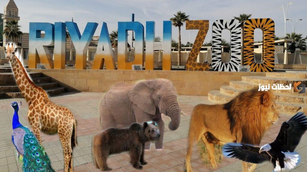 طريقة شراء تذاكر حديقة الحيوانات في الرياض Riyadh Zoo وسعر التذاكر وأهم الفعاليات