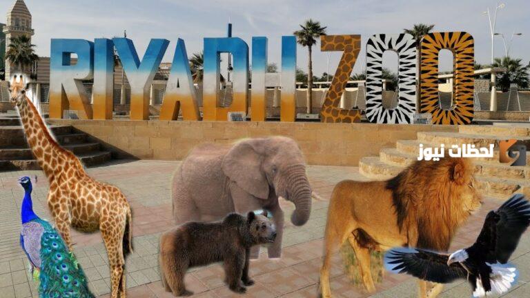 طريقة شراء تذاكر حديقة الحيوانات في الرياض Riyadh Zoo وسعر التذاكر وأهم الفعاليات