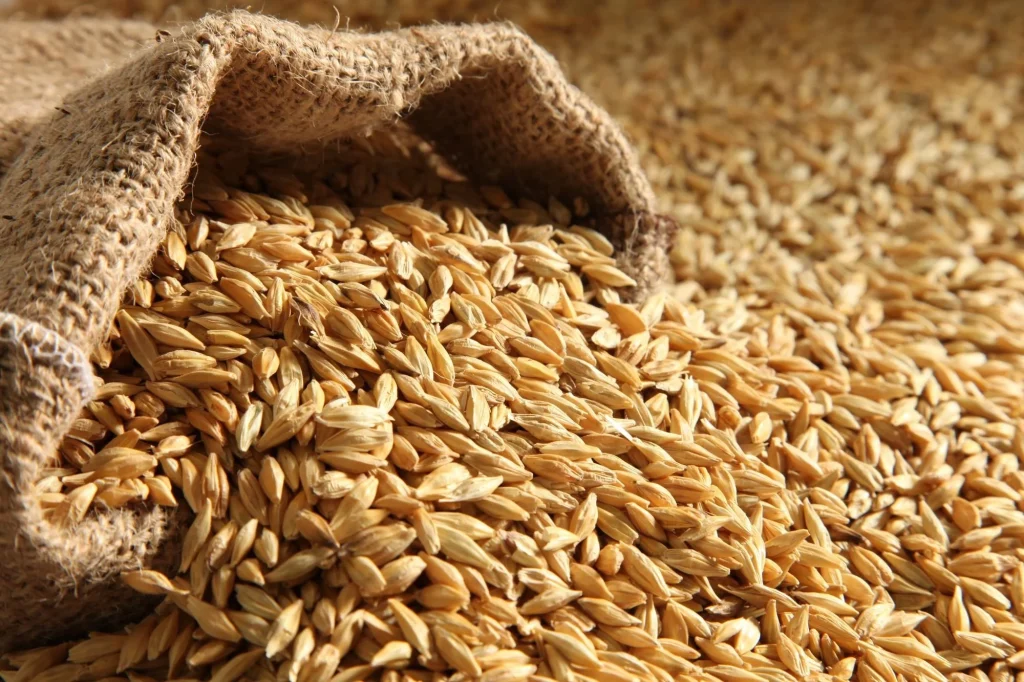 سعر طن الأرز