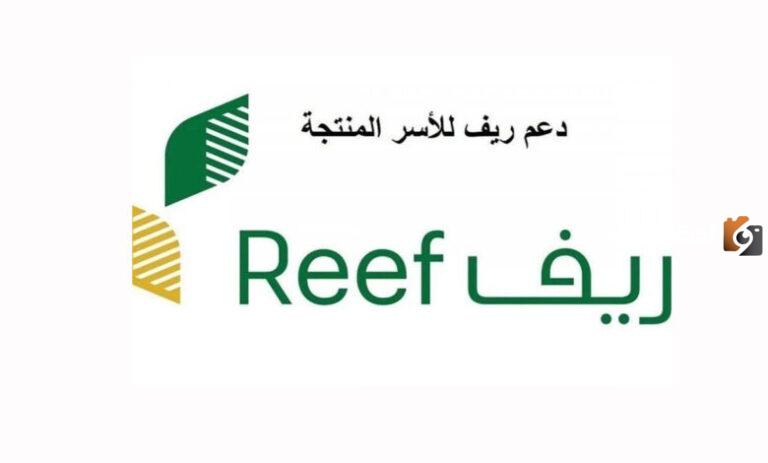 دعم ريف يقدم | شروط القبول في دعم ريف والحصول على الدعم 1447 وخطوات التسجيل في البرنامج إلكترونيًا والأوراق المطلوبة