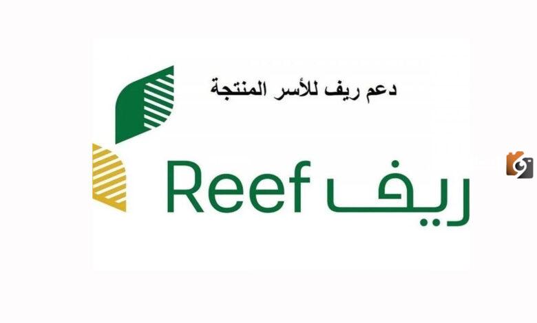 دعم ريف يقدم | شروط القبول في دعم ريف والحصول على الدعم 1447 وخطوات التسجيل في البرنامج إلكترونيًا والأوراق المطلوبة