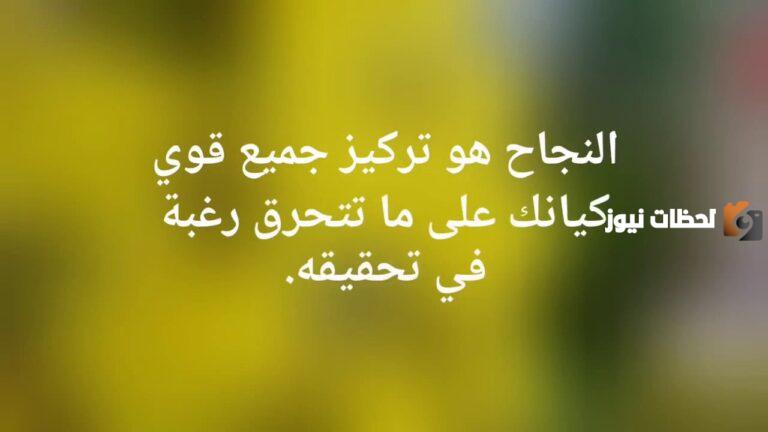عبارات جميلة عن الطموح والنجاح