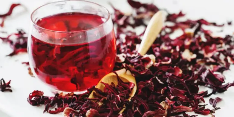 فوائد الكركديه للرجيم والكمية المسموح بها منه