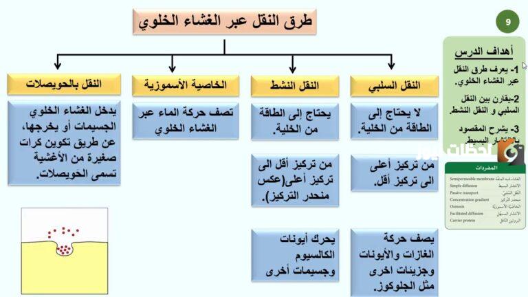 ما الفرق بين النقل السلبي والنقل النشط