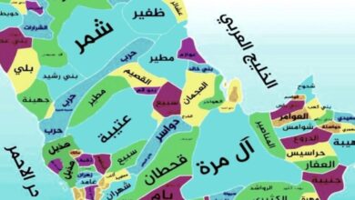 ما الفرق بين الشعوب والقبائل