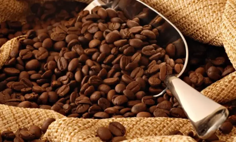 ما هي افضل أنواع البن في مصر وأسعارها هذا العام 2025