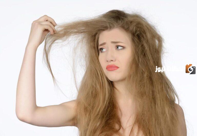 ما هي طرق وماسكات لعلاج هيشان الشعر وطريقة تحضيرها